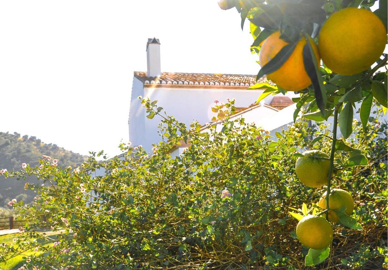 Cortijo Las Caballerias Alora Luaran gambar
